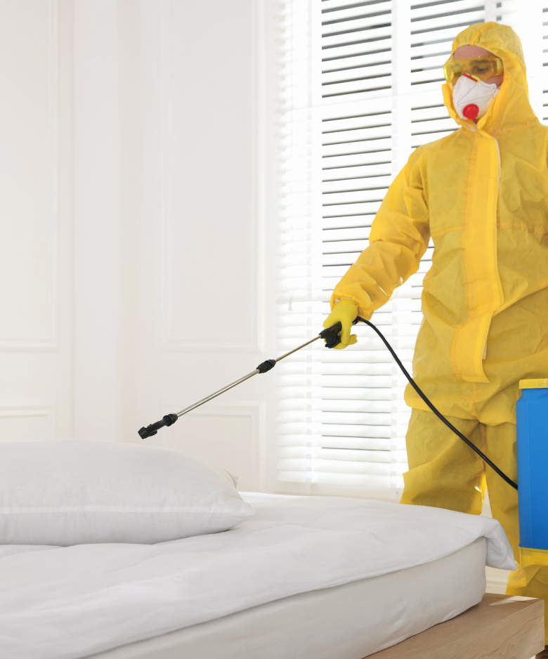 Professional Pest Control Team in Ascot Park
